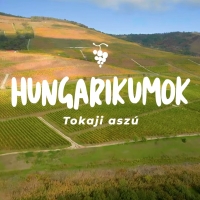 Új Hungarikumok videó: Tokaji aszú