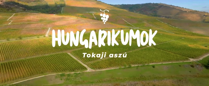 Új Hungarikumok videó: Tokaji aszú